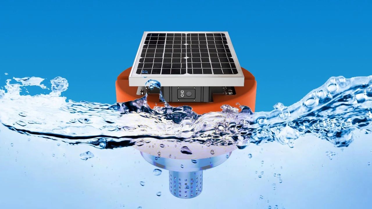 ������̳-���׵Ĳ�����-ʮ�󲤲�������ƽ̨-��������̳