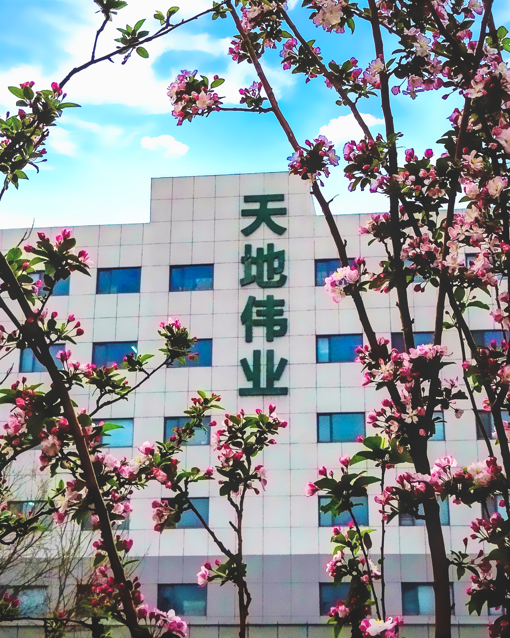 ������̳-���׵Ĳ�����-ʮ�󲤲�������ƽ̨-��������̳