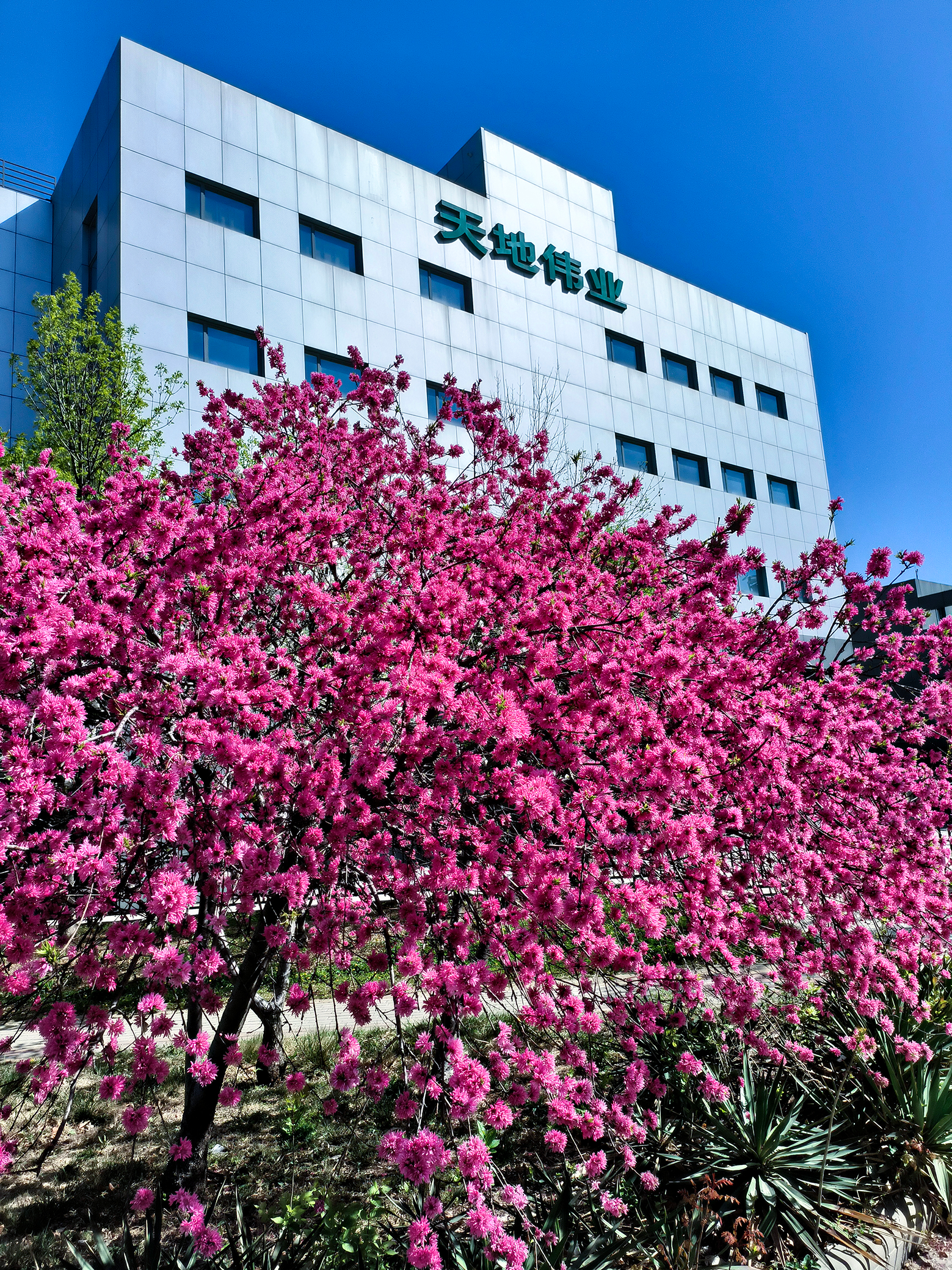 ������̳-���׵Ĳ�����-ʮ�󲤲�������ƽ̨-��������̳