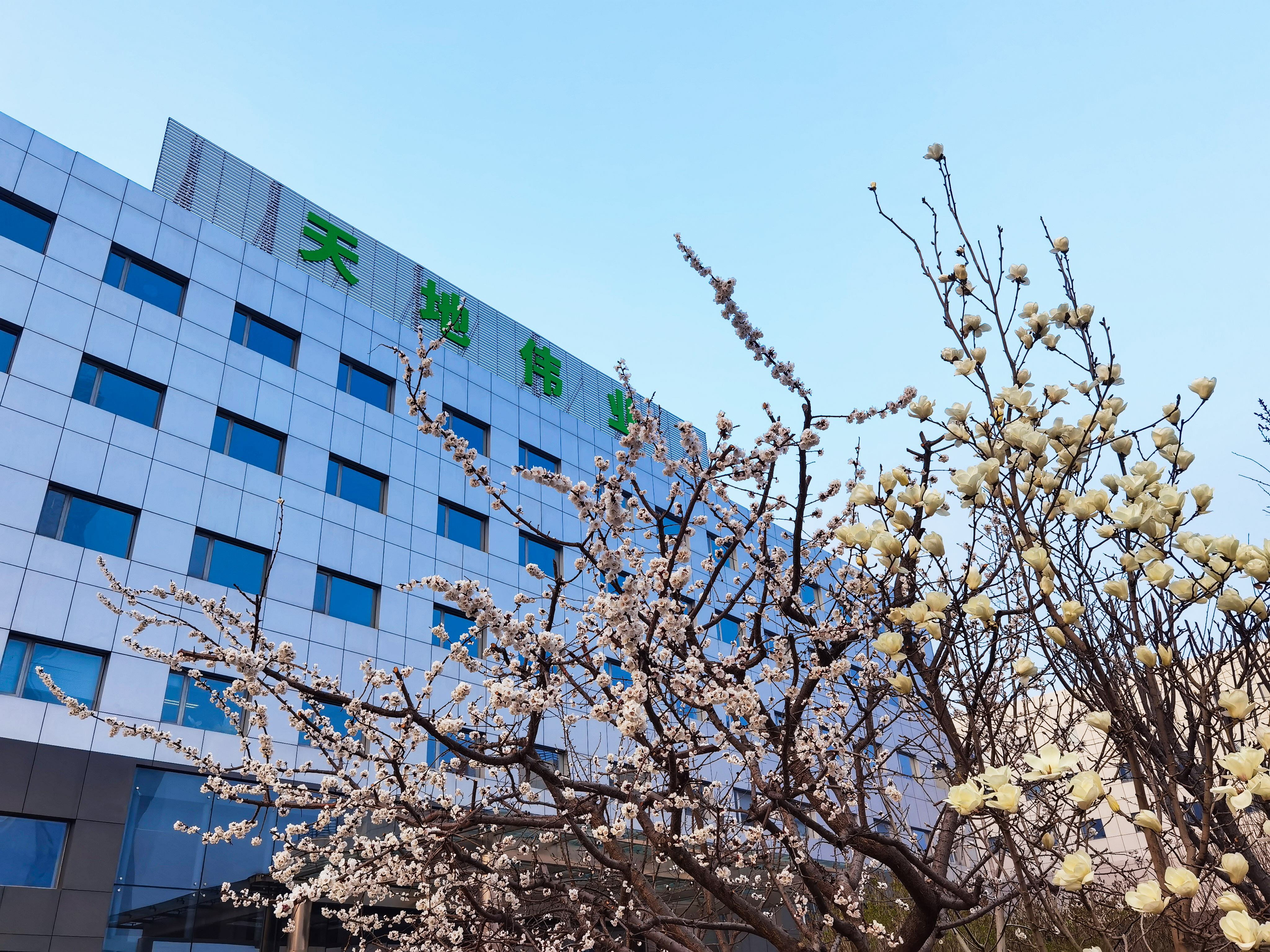 ������̳-���׵Ĳ�����-ʮ�󲤲�������ƽ̨-��������̳