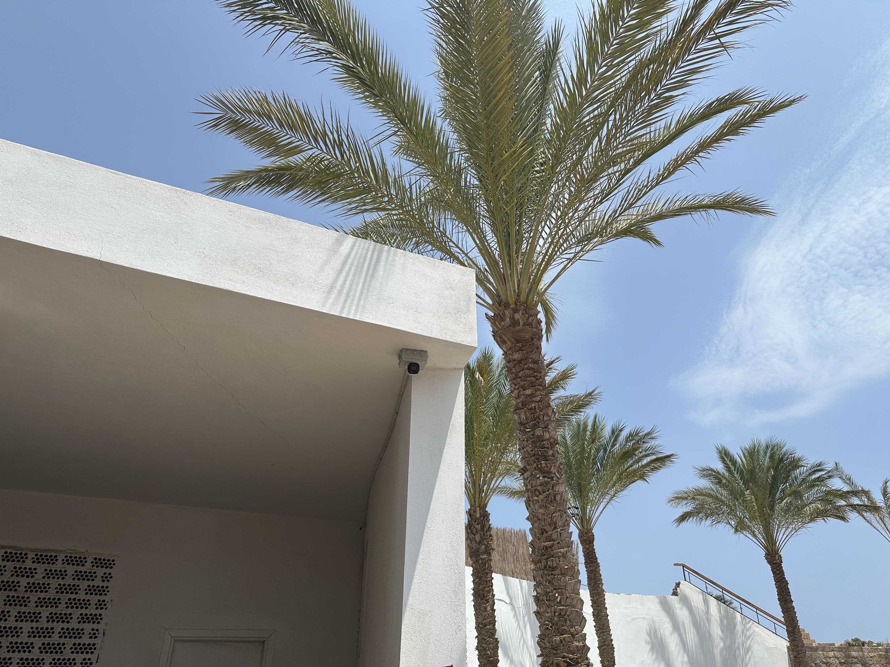 ������̳-���׵Ĳ�����-ʮ�󲤲�������ƽ̨-��������̳