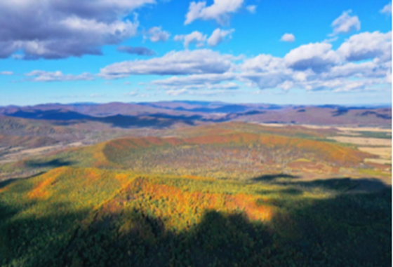 ������̳-���׵Ĳ�����-ʮ�󲤲�������ƽ̨-��������̳