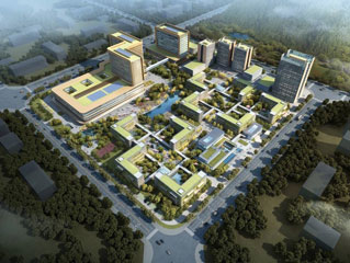 ������̳-���׵Ĳ�����-ʮ�󲤲�������ƽ̨-��������̳