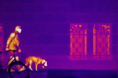 ������̳-���׵Ĳ�����-ʮ�󲤲�������ƽ̨-��������̳