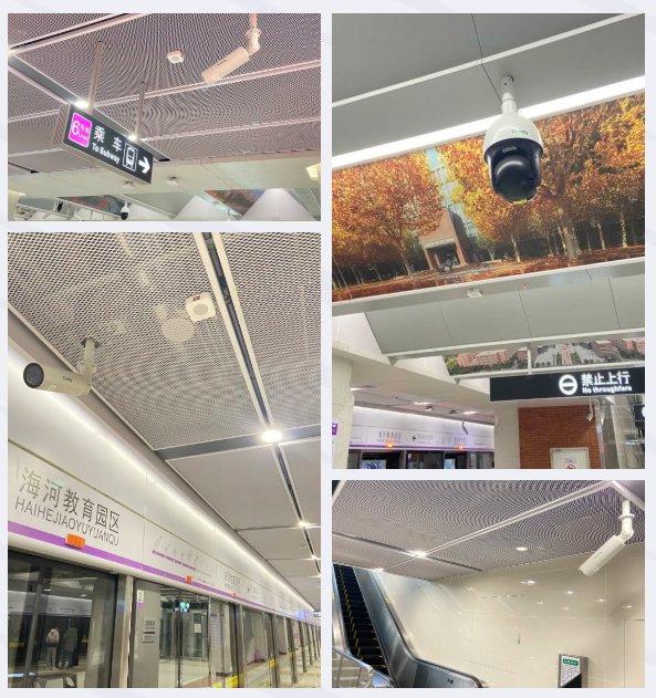 ������̳-���׵Ĳ�����-ʮ�󲤲�������ƽ̨-��������̳