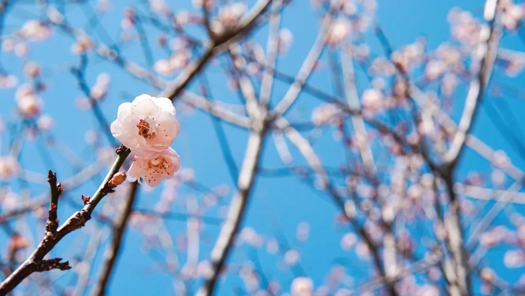 ������̳-���׵Ĳ�����-ʮ�󲤲�������ƽ̨-��������̳