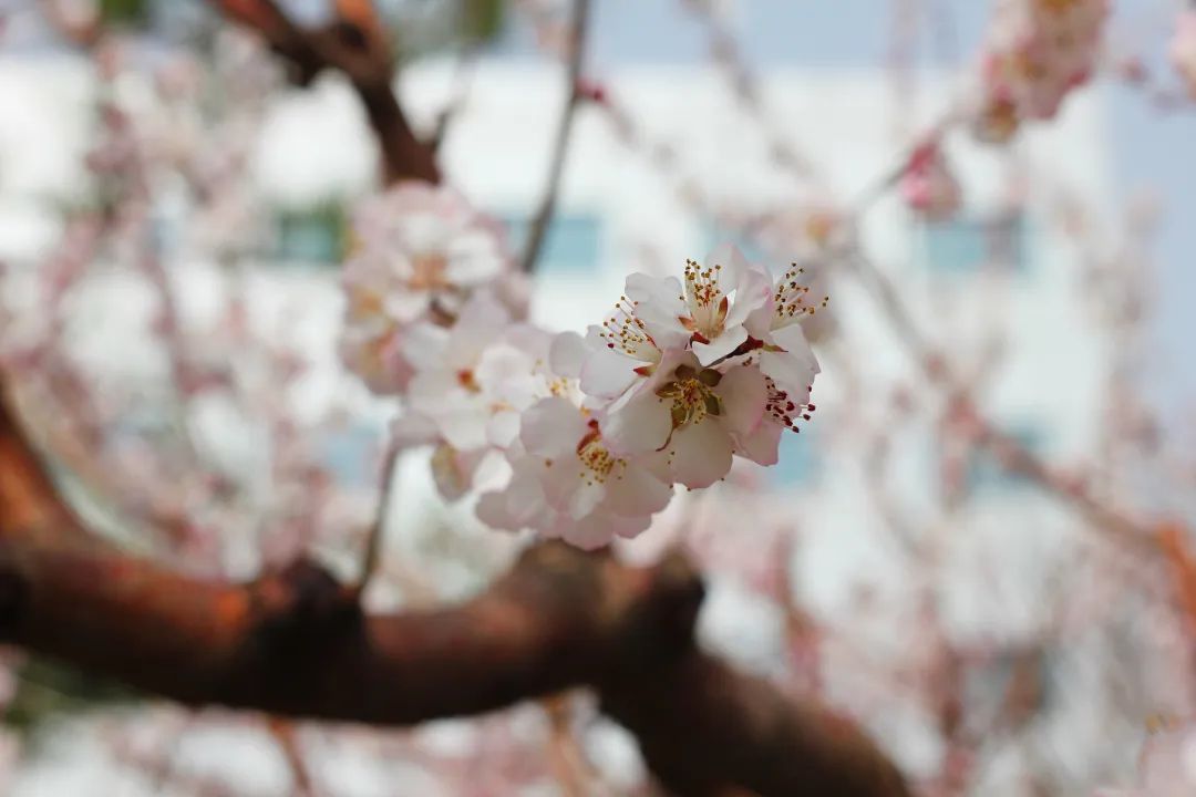 ������̳-���׵Ĳ�����-ʮ�󲤲�������ƽ̨-��������̳