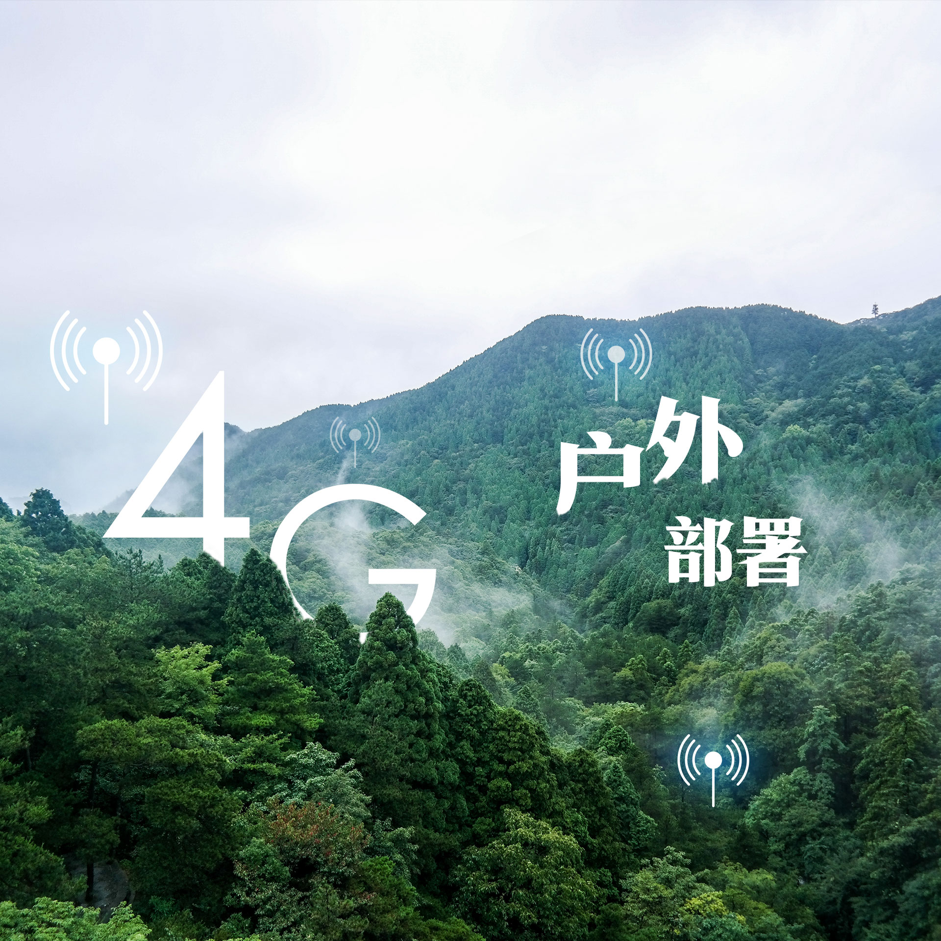 ������̳-���׵Ĳ�����-ʮ�󲤲�������ƽ̨-��������̳