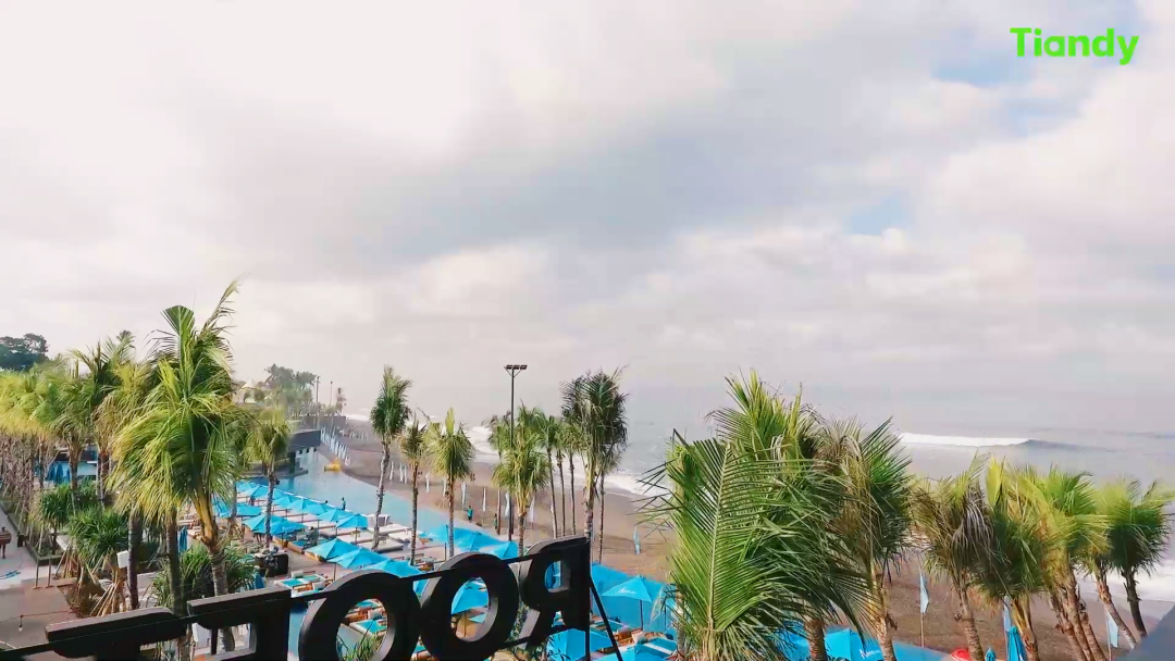 ������̳-���׵Ĳ�����-ʮ�󲤲�������ƽ̨-��������̳