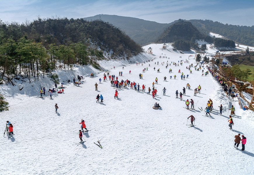 ������̳-���׵Ĳ�����-ʮ�󲤲�������ƽ̨-��������̳