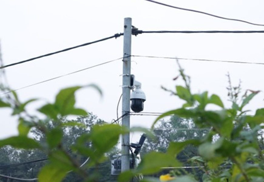 ������̳-���׵Ĳ�����-ʮ�󲤲�������ƽ̨-��������̳